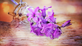 Tử vi của 12 con giáp trong ngày 13/10/2018