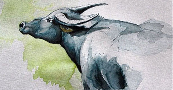 3 con giáp nữ rất NÓNG TÍNH nhưng lại cực kỳ TỐT BỤNG đấy!