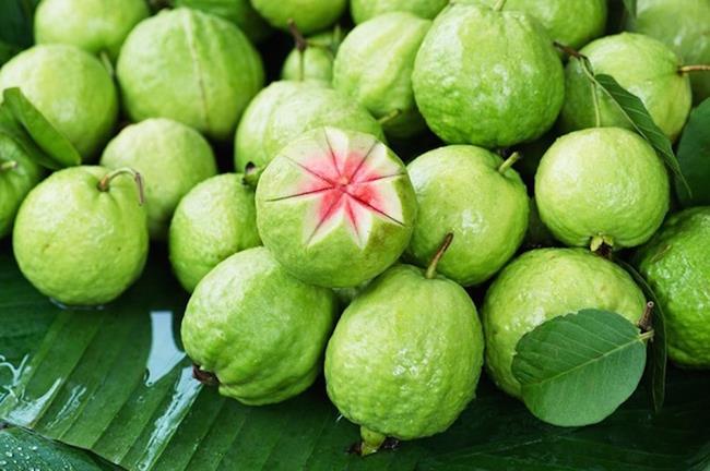 10 loại cây có thể GIẢI ĐỘC trong lúc NGUY CẤP, bạn phải luôn ghi nhớ &curren;4 để dùng trong mọi trường hợp