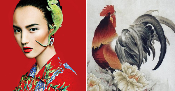 Dù 2 bàn tay trắng, con giáp này từ nghèo hóa giàu, dư giả nhất 2 tháng cuối năm