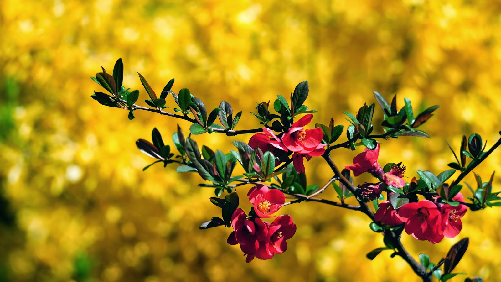 Tử vi của 12 con giáp trong ngày 29/10/2018