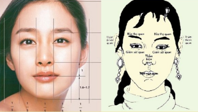 Nhân tướng học: Tướng gương mặt của người phụ nữ “hút tiền tài”
