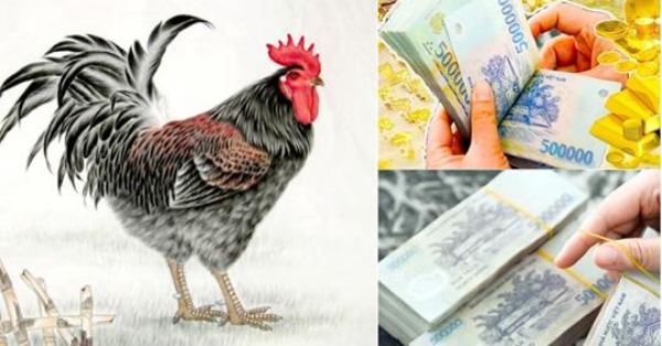 Trước Tết 2019, 3 con giáp này sẽ gặp được cơ hội trăm năm có 1, TÀI LỘC không những dồi dào mà cuộc sống thăng hoa bất ngờ