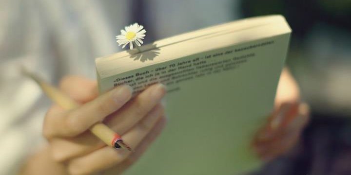 9 lời khuyên cuối cùng của bậc thầy phong thủy khiến hàng triệu người phải lưu lại, càng đọc càng thấm