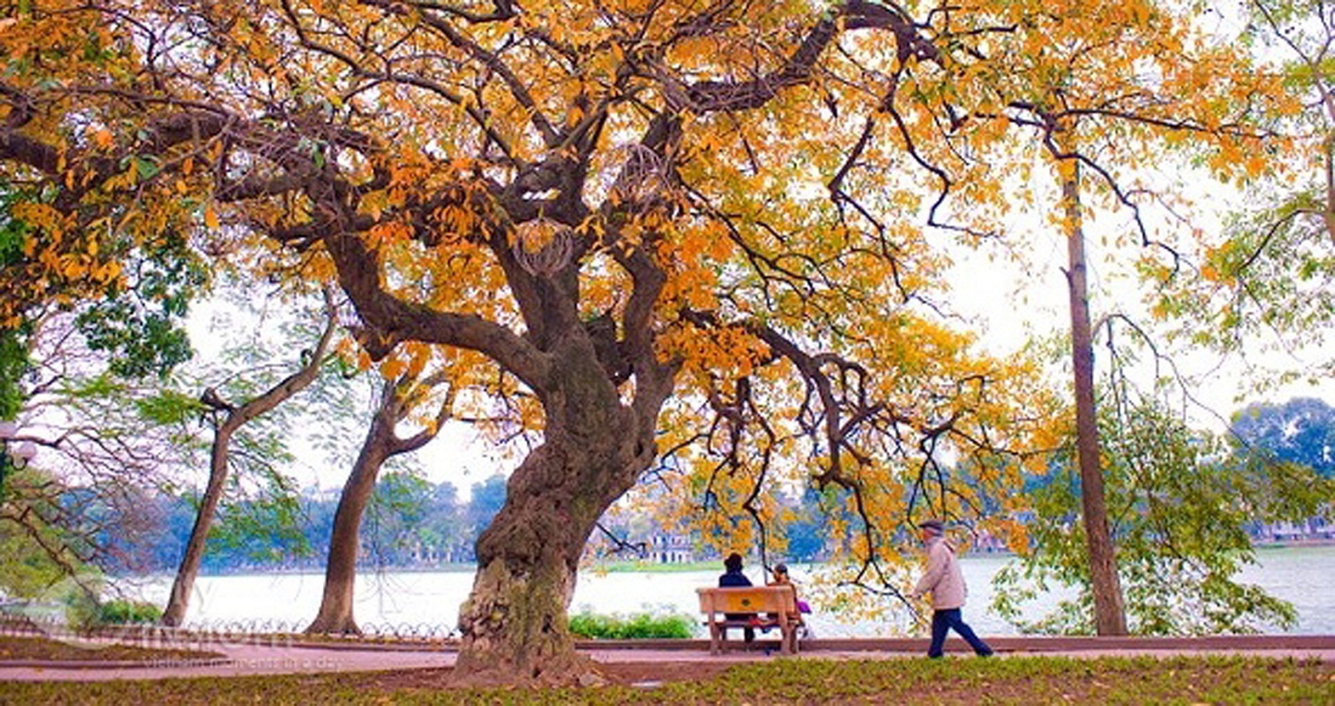 Tử vi trong ngày 4/11/2018 của 12 con giáp