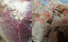 Tuyệt đối KHÔNG ĐƯỢC MUA THỊT LỢN nếu thấy 7 dấu hiệu này. Hãy thận trọng!