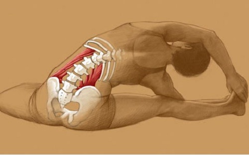 Bác sĩ hướng dẫn tập chữa mỏi lưng, đau cột sống: Người đau lâu ngày cũng khỏi nhanh chóng