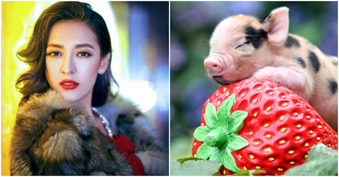 Trước tết 2019, có 4 con giáp ‘vươn mình’ thành đại gia tỷ đô, vĩnh biệt kiếp nghèo