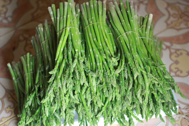 Thích ăn măng tây đừng đi mua, tự trồng ở nhà trong thùng xốp quá dễ mà lại ‘bội thu’