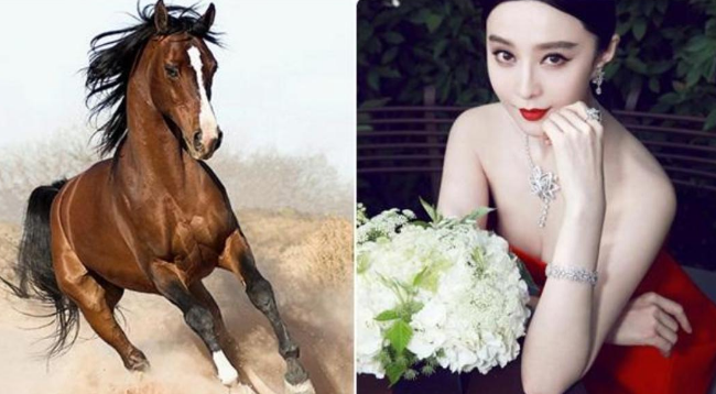 Quá ngưỡng mộ 3 con giáp nữ sở hữu ‘tam vượng’: VƯỢNG PHU, VƯỢNG TỬ, VƯỢNG TÀI