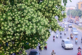 Tử vi của 12 con giáp trong ngày 15/11/2018