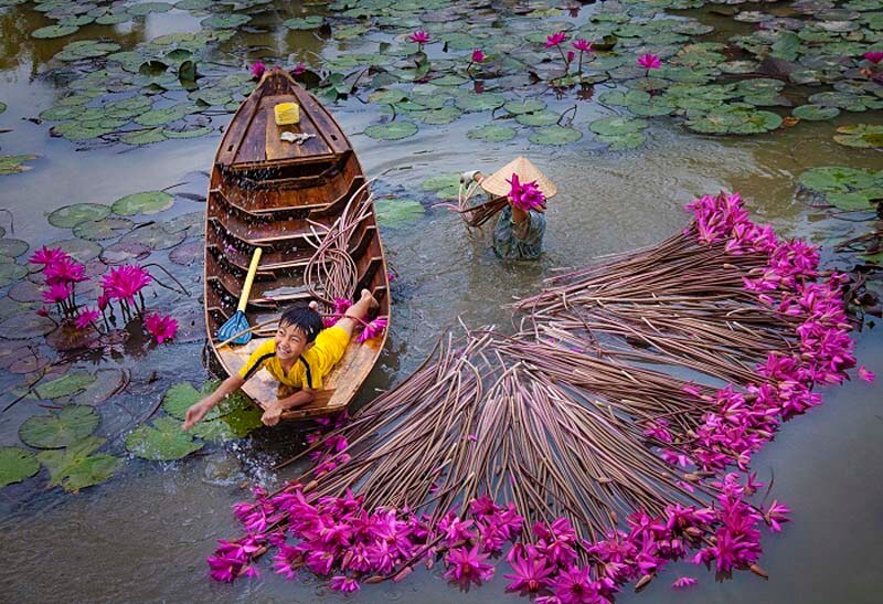 Tử vi của 12 con giáp trong ngày 19/11/2018