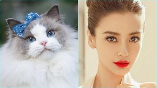 Từ giờ đến Tết, lộc sẽ tự chạy vào túi của 3 con giáp này, may mắn nối tiếp may mắn, năm 2019 thăng hoa rực rỡ bất ngờ