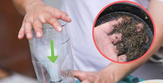 Không khí ẨM THẤP rồi, đọc ngay mẹo đuổi muỗi vĩnh viễn ra khỏi nhà chỉ sau 1 phút