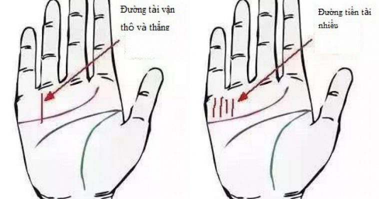 Sở hữu 1 trong 4 chỉ tay như thế này thì không nói gì thêm nữa: CHÚC MỪNG BẠN