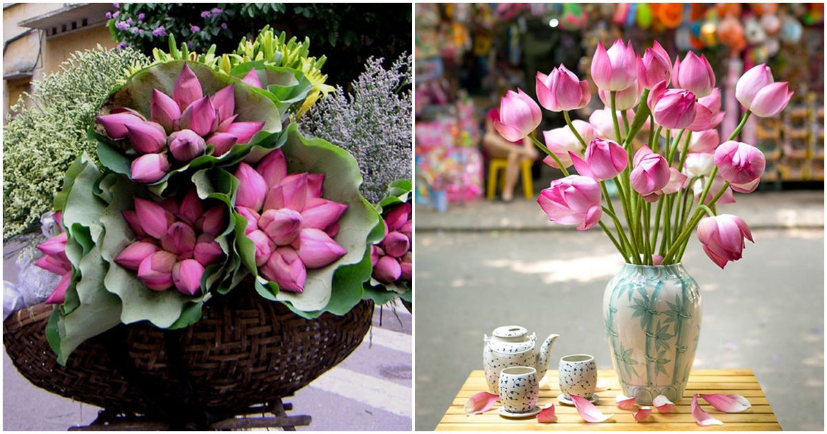 Tử vi tuần mới của 12 con giáp từ 26/11 – 2/12/10/2018