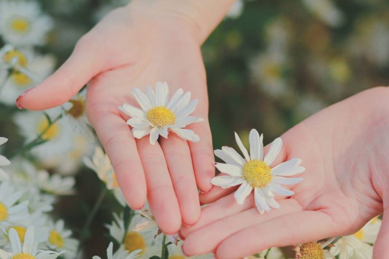 Khi bấn loạn hay quá đau khổ vì cuộc sống, hãy mở chiếc túi sau