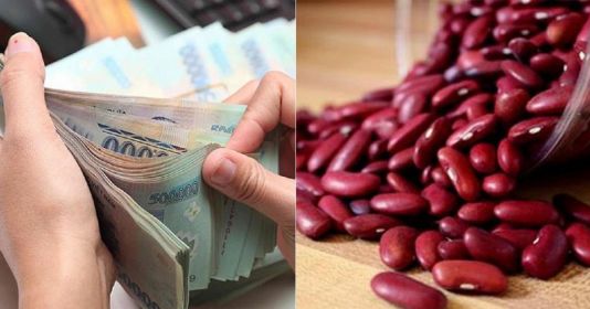 Cuối năm rồi, hãy đổi phong thuỷ của ví bằng cách đặt thứ này vào nhé!