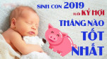 Trong năm 2019, đây là 4 tháng sinh con được ngày đẹp nhất