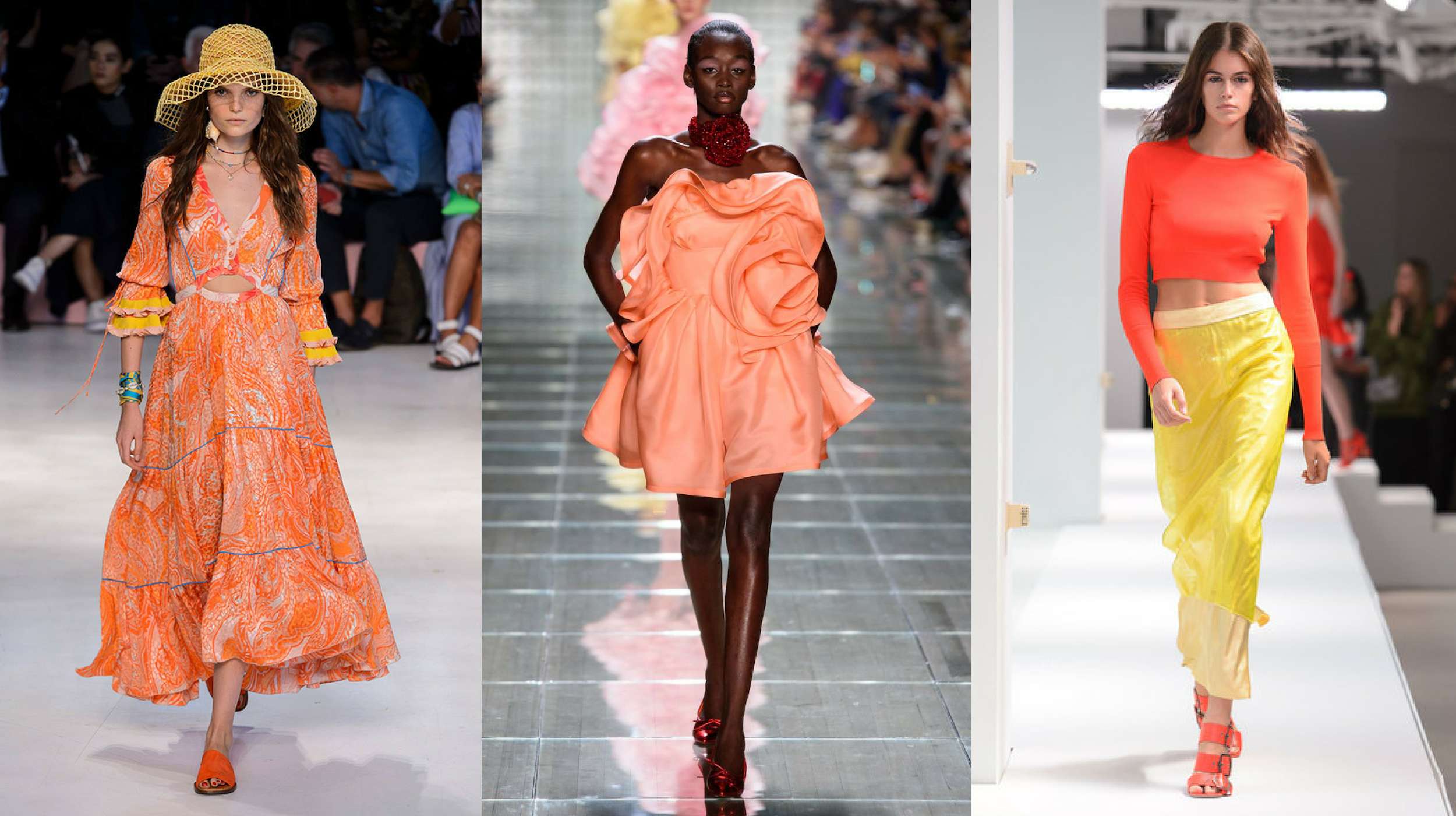 Màu San Hô - Màu Sắc Thống Trị 2019!