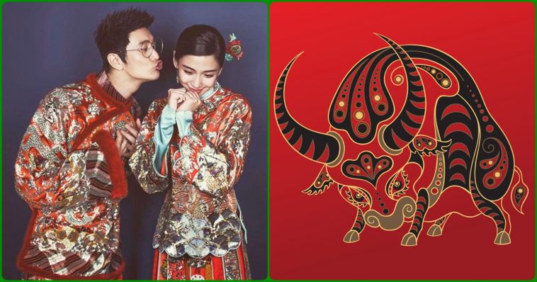 Các anh tuổi này muốn mau giàu thì nghe lời vợ, chẳng mấy chốc mà thành đại gia