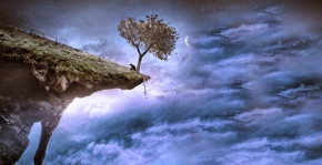 Cá vượt ngược dòng là cá sống, người vượt nghịch cảnh người thành công