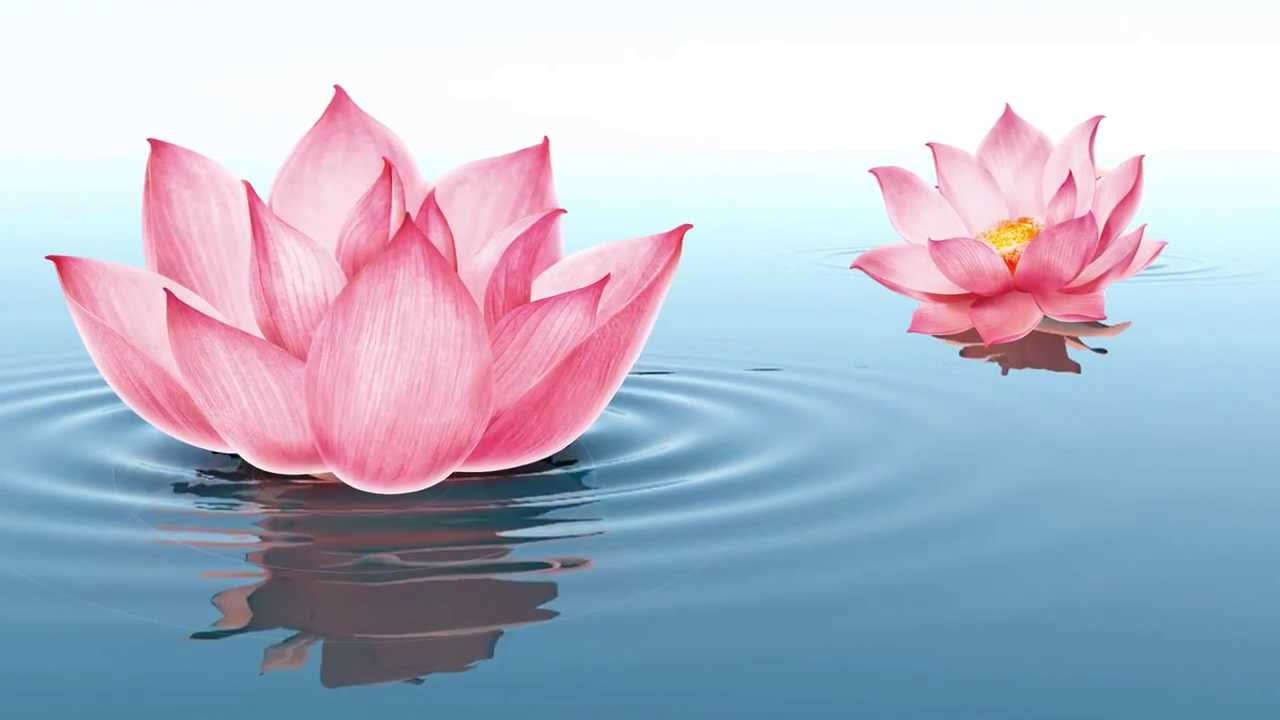 Tử vi của 12 con giáp trong ngày 14/12/2018