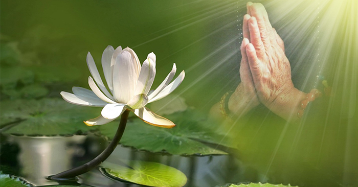 Có TIỀN xin đừng hà tiện, có HẠNH PHÚC xin đừng đợi chờ, đã YÊU xin đừng buông tay, đã TỨC GIẬN xin đừng chịu đựng: Hãy ghi nhớ để cuộc sống thanh thản hơn!