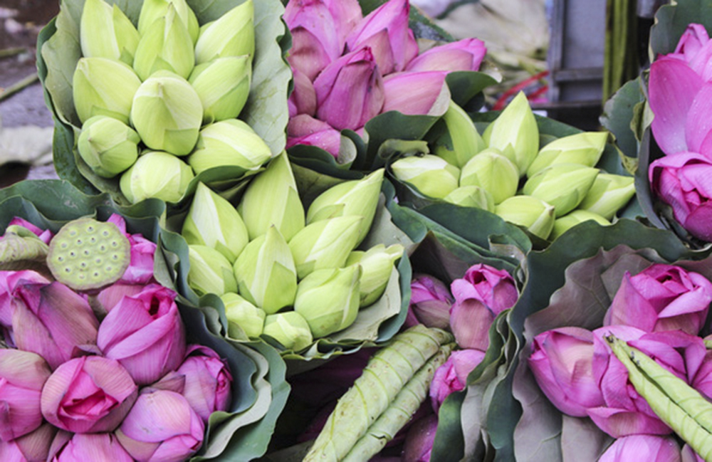 Tử vi  của 12 con giáp trong ngày 20/12/2018