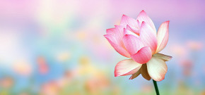 Tử vi của 12 con giáp trong ngày 28/12/2018