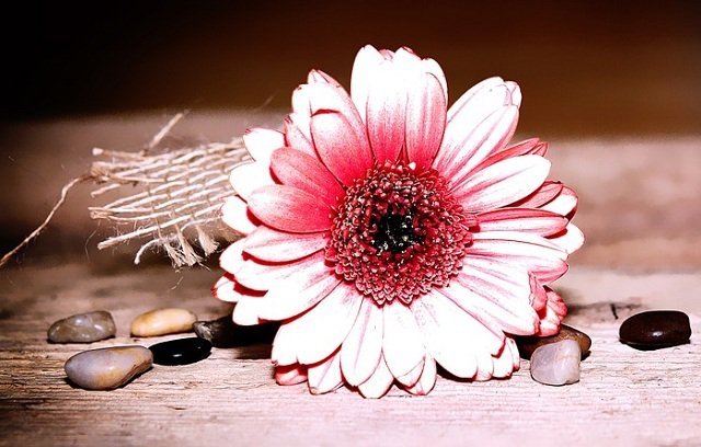 Nếu một ngày tôi mất đi, người yêu tôi và người ghét tôi sẽ như thế nào?