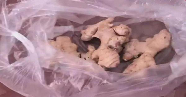 Phương pháp bảo quản rất hay: Đặt thứ này trong gừng, tỏi và khoai tây không bao giờ lo bị mọc mầm