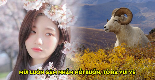 Đây chính là 3 con giáp thường xuyên che giấu cảm xúc, hãy quan tâm họ hơn!