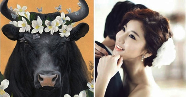 Cứ lấy vợ 4 tuổi này mà chồng chịu nghe lời thì GIÀU nhanh thần tốc, đất đai nhiều vô kể, chưa đến 40 đã có xe hơi, nhà lầu