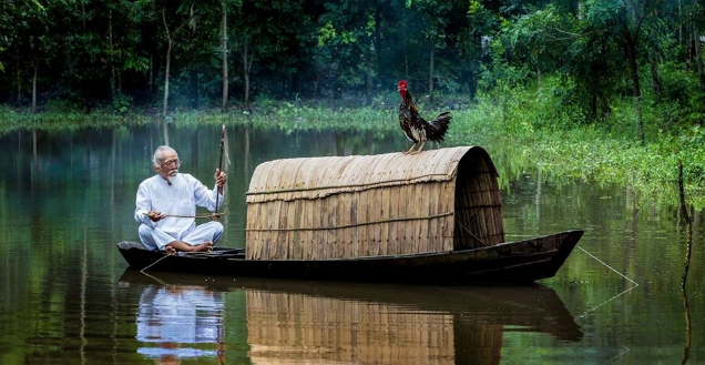 Người thông minh có 5 điều không muốn hỏi, vì không hỏi nên mới an nhiên