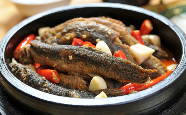 Đông y gọi loài cá này hơn cả nhân sâm vì khả năng chống uпɡ thư, nhưng đến 90‰ người Việt bỏ qua