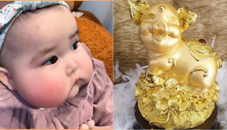 ‘Sinh con năm Kỷ Hợi 2019 là HEO VÀNG, 60 năm mới có 1 lần’: Lời đồn hay SỰ THẬT?