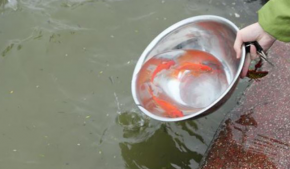 Có 3 ngày đẹp nhất để cúng ông Công, ông Táo năm 2019