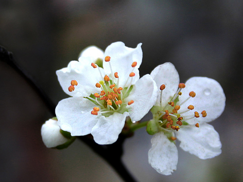 Bạn đã thực sự hiểu thế nào là buông xả hay chưa?