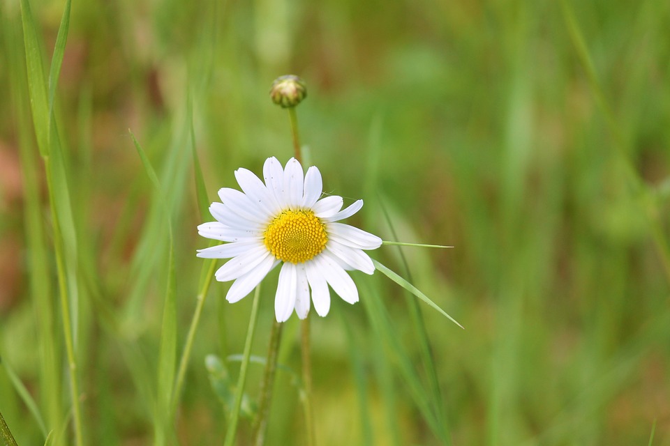 Sống trên đời đừng tạo nghiệp, gieo nhân nào thì gặp quả đấy