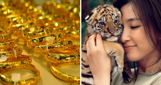 5 con giáp ăn TẾT 2019 to nhất nhờ Thần Tài chiếu cố, sắp trúng số trăm tỷ