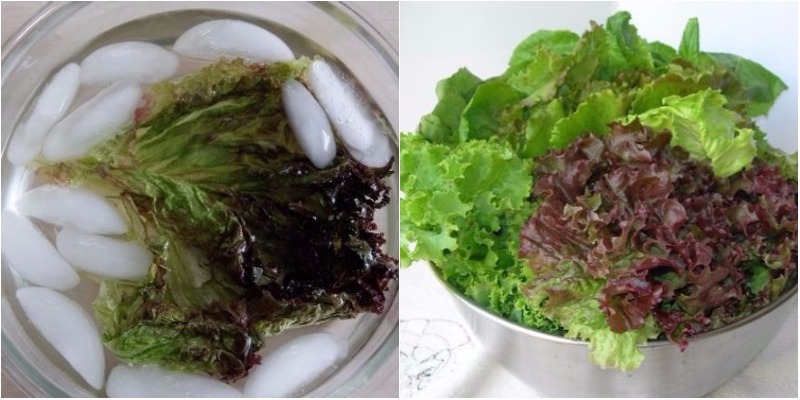 Cách biến rau héo thành rau tươi ‘thần kì’ nhưng có thật 100%, ai cũng làm được