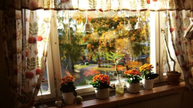 Sống ở đời, có nhiều chuyện thà rằng không biết sẽ tốt hơn