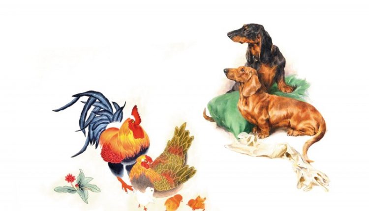 Năm 2019: Bộ 3 con giáp siêu may mắn, quanh năm tiền bạc rủng rỉnh