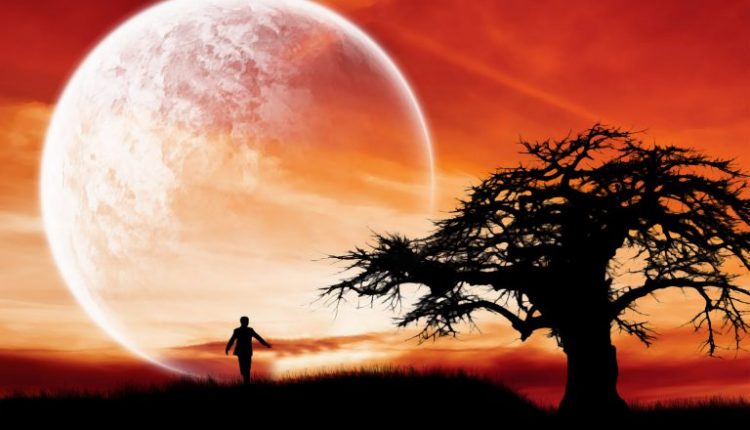 Chúng ta mệt mỏi vì mưu cầu và tự dọa mình quá nhiều