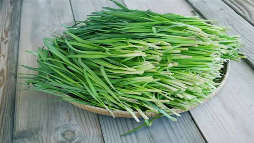 Vì sao từ xưa đã có câu: “Đàn ông không thể thiếu hẹ, đàn bà không thể thiếu ngó sen”?