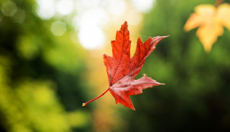 Cuộc đời nay, biết bao người thua vì chữ ‘đợi’