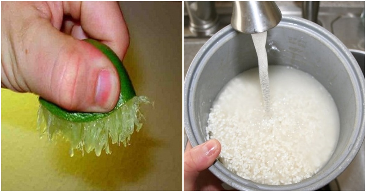 Đây là lí do mà nếu phải bỏ 100k để mua 1kg chanh, sẵn sàng đồng ý!