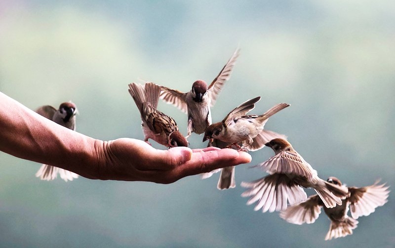 Lương thiện là tốt nhưng đừng để người khác chèn ép mình