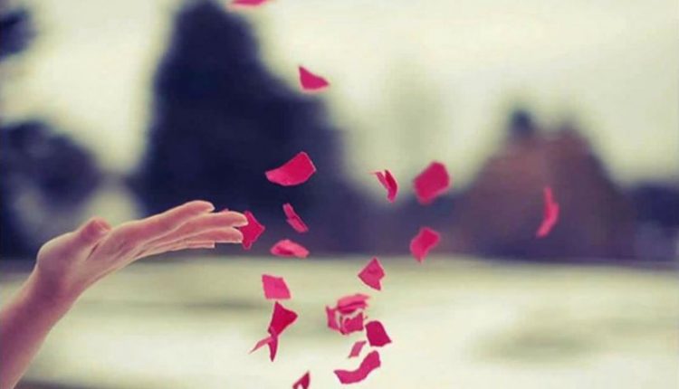 Buông không có nghĩa là bỏ cuộc, cố chấp không đồng nghĩa với kiên trì